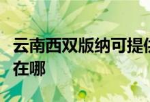 云南西雙版納可提供宏碁投影機維修服務(wù)地址在哪