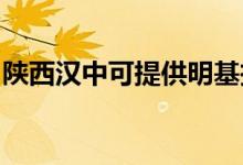 陜西漢中可提供明基投影機維修服務地址在哪