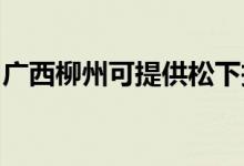 廣西柳州可提供松下投影機維修服務地址在哪