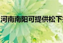 河南南陽可提供松下投影機維修服務地址在哪