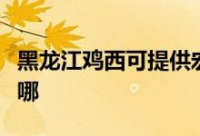 黑龍江雞西可提供宏碁投影機維修服務(wù)地址在哪