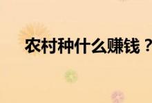 農(nóng)村種什么賺錢？（6個(gè)種植賺錢項(xiàng)目）