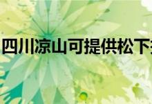 四川涼山可提供松下投影機(jī)維修服務(wù)地址在哪