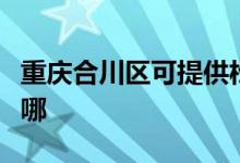 重慶合川區(qū)可提供松下投影機維修服務地址在哪