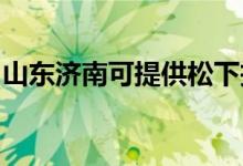 山東濟(jì)南可提供松下投影機(jī)維修服務(wù)地址在哪