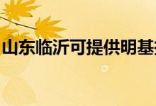 山東臨沂可提供明基投影機維修服務地址在哪