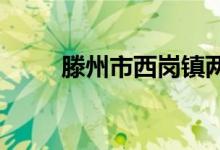 滕州市西崗鎮(zhèn)兩河小學(xué)的地址在哪