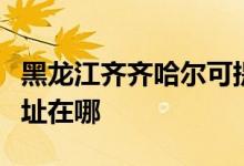 黑龍江齊齊哈爾可提供理光投影機維修服務(wù)地址在哪