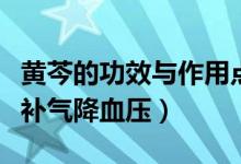 黃芩的功效與作用點(diǎn)（日常用黃芩泡水喝補(bǔ)血補(bǔ)氣降血壓）