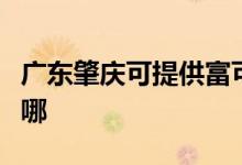 廣東肇慶可提供富可視投影機(jī)維修服務(wù)地址在哪