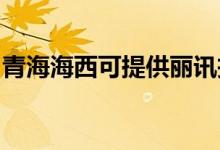 青海海西可提供麗訊投影機(jī)維修服務(wù)地址在哪