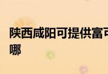 陜西咸陽可提供富可視投影機(jī)維修服務(wù)地址在哪