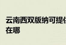 云南西雙版納可提供三菱投影機維修服務(wù)地址在哪