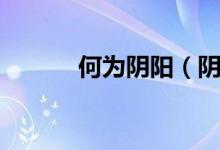 何為陰陽（陰陽到底為何物？）