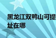 黑龍江雙鴨山可提供aigo投影機維修服務(wù)地址在哪