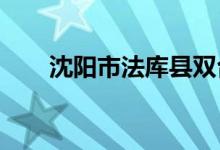 沈陽市法庫縣雙臺子學(xué)校的地址在哪