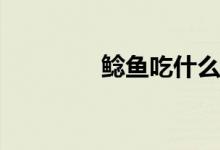 鯰魚(yú)吃什么(黃金鯰魚(yú)圖片)
