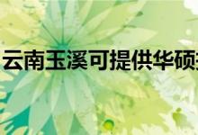云南玉溪可提供華碩投影機維修服務地址在哪