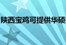 陜西寶雞可提供華碩投影機維修服務地址在哪