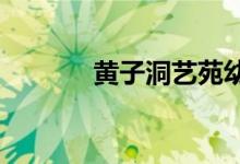 黃子洞藝苑幼兒園的地址在哪