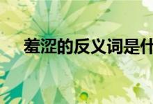羞澀的反義詞是什么(shy害羞的反義詞)