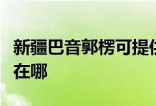 新疆巴音郭楞可提供華碩投影機維修服務地址在哪