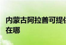 內(nèi)蒙古阿拉善可提供理光復(fù)印機維修服務(wù)地址在哪