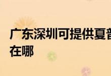 廣東深圳可提供夏普數(shù)碼復(fù)合機維修服務(wù)地址在哪
