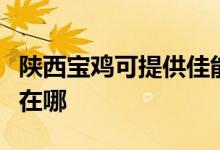 陜西寶雞可提供佳能數(shù)碼復(fù)合機維修服務(wù)地址在哪