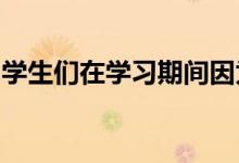 學(xué)生們在學(xué)習(xí)期間因?yàn)槭裁丛驅(qū)е缕v不堪
