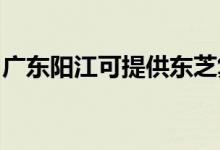 廣東陽(yáng)江可提供東芝復(fù)印機(jī)維修服務(wù)地址在哪