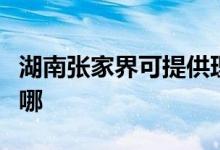 湖南張家界可提供理光復(fù)印機維修服務(wù)地址在哪