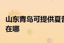山東青島可提供夏普數(shù)碼復(fù)合機維修服務(wù)地址在哪