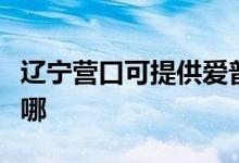 遼寧營(yíng)口可提供愛普生掃描儀維修服務(wù)地址在哪