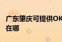 廣東肇慶可提供OKI針式打印機維修服務(wù)地址在哪