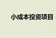 小成本投資項目（目前小本創(chuàng)業(yè)項目）