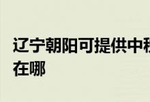 遼寧朝陽可提供中稅針式打印機維修服務(wù)地址在哪