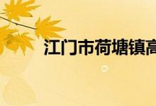 江門市荷塘鎮(zhèn)高村小學(xué)的地址在哪