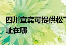 四川宜賓可提供松下安防監(jiān)控系統(tǒng)維修服務(wù)地址在哪