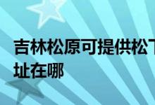 吉林松原可提供松下安防監(jiān)控系統(tǒng)維修服務(wù)地址在哪