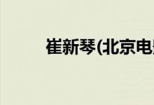 崔新琴(北京電影學院崔新琴老師)