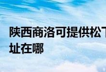 陜西商洛可提供松下安防監(jiān)控系統(tǒng)維修服務(wù)地址在哪