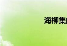 海柳集的知識解讀