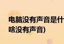 電腦沒有聲音是什么原因(電腦揚(yáng)聲器100為啥沒有聲音)