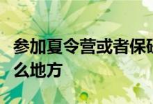 參加夏令營或者保研的時候提交材料作用在什么地方