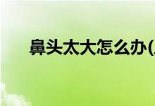 鼻頭太大怎么辦(人瘦了鼻子會變小嗎)
