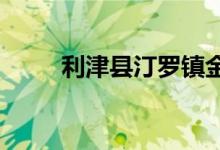 利津縣汀羅鎮(zhèn)金盆小學的地址在哪