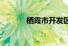 棲霞市開發(fā)區(qū)小學(xué)的地址在哪