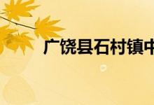 廣饒縣石村鎮(zhèn)中心小學的地址在哪