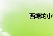 西塘坨小學(xué)的地址在哪